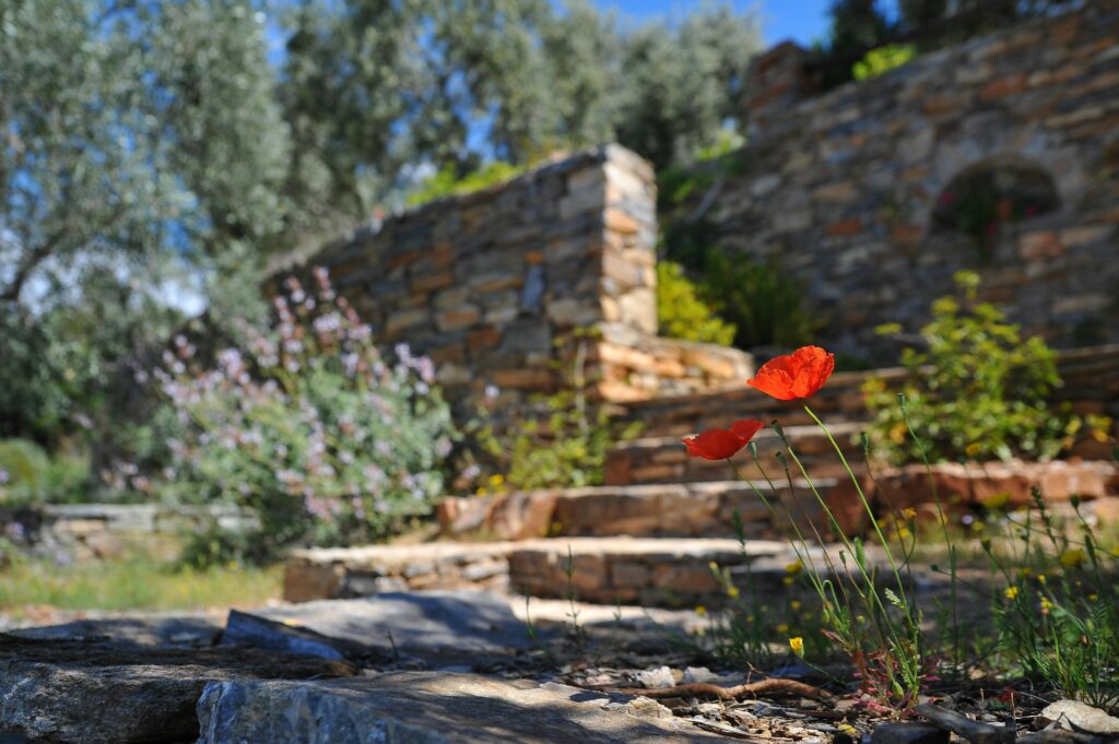 Beyond the Blueprint: Mastering Commercial Landscaping and Site Development in El Paso